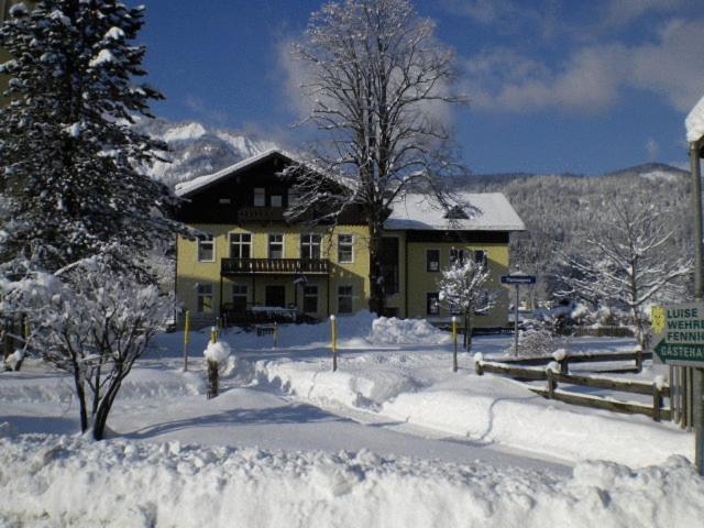 Luise Wehrenfennig & Haus Eva Hotel Bad Goisern Exterior foto