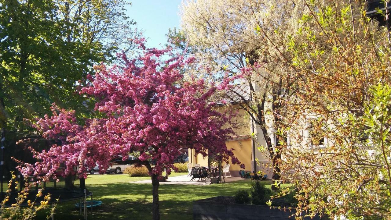 Luise Wehrenfennig & Haus Eva Hotel Bad Goisern Exterior foto